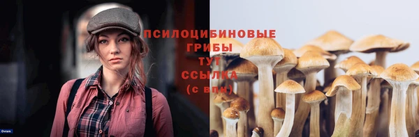 стаф Балахна