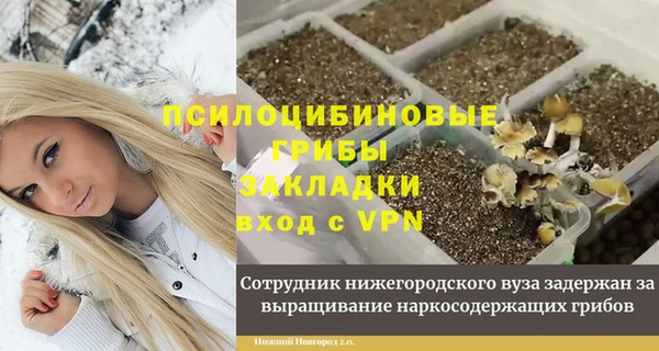 стаф Балахна