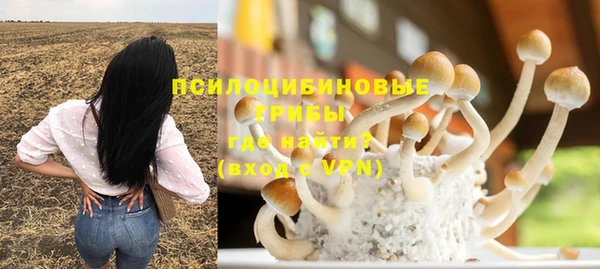 стаф Балахна