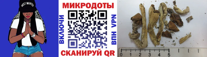 Псилоцибиновые грибы GOLDEN TEACHER  Сортавала 